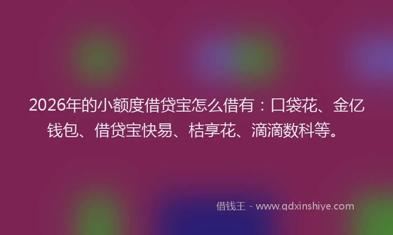 2026年的小额度借贷宝怎么借有：口袋花、金亿钱包、借贷宝快易、桔享花、滴滴数科等。