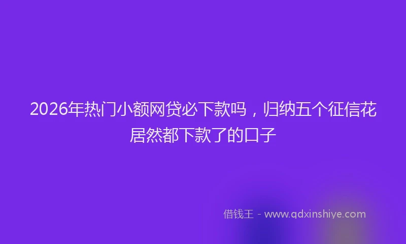 2026年热门小额网贷必下款吗,归纳五个征信花居然都下款了的口子
