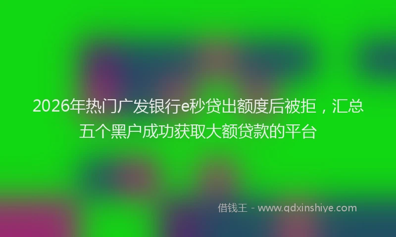 2026年热门广发银行e秒贷出额度后被拒，汇总五个黑户成功获取大额贷款的平台