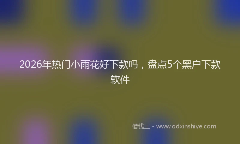 2026年热门小雨花好下款吗，盘点5个黑户下款软件