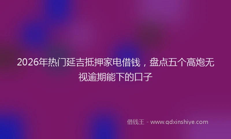 2026年热门延吉抵押家电借钱，盘点五个高炮无视逾期能下的口子