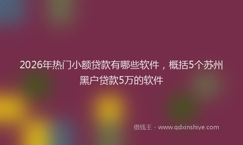 2026年热门小额贷款有哪些软件，概括5个苏州黑户贷款5万的软件