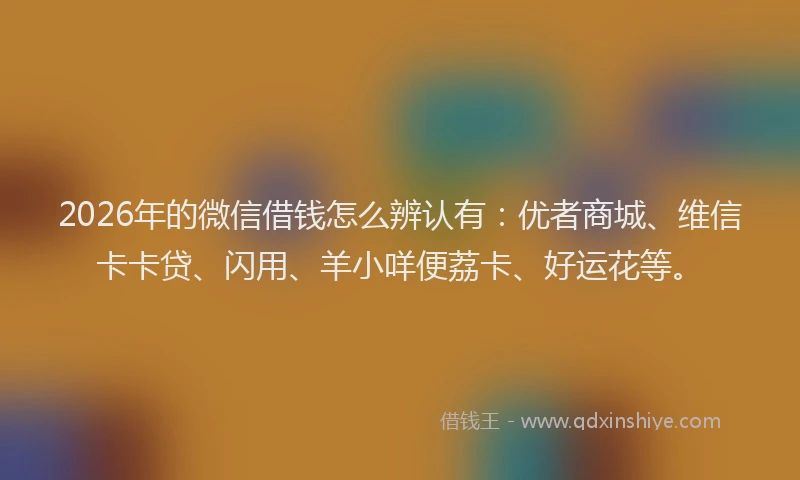 2026年的微信借钱怎么辨认有:优者商城、维信卡卡贷、闪用、羊小咩便荔卡、好运花等。