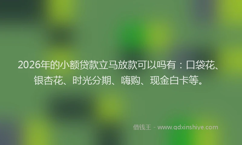 2026年的小额贷款立马放款可以吗有：口袋花、银杏花、时光分期、嗨购、现金白卡等。