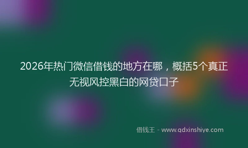 2026年热门微信借钱的地方在哪，概括5个真正无视风控黑白的网贷口子