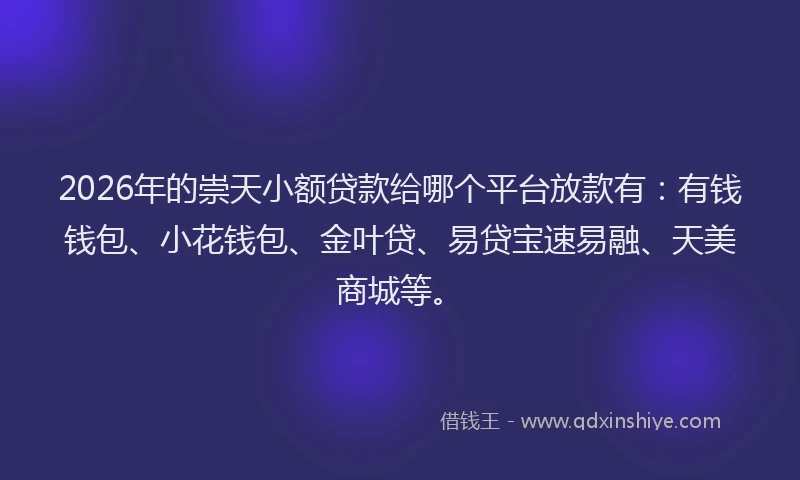 2026年的崇天小额贷款给哪个平台放款有：有钱钱包、小花钱包、金叶贷、易贷宝速易融、天美商城等。