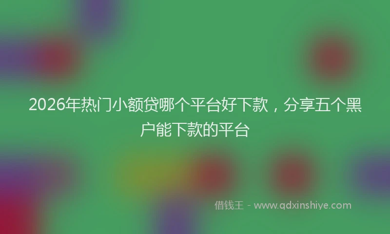 2026年热门小额贷哪个平台好下款，分享五个黑户能下款的平台