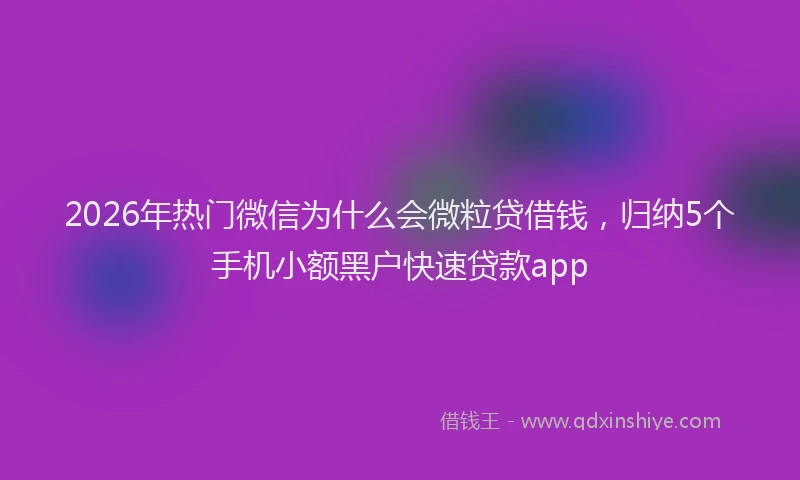 2026年热门微信为什么会微粒贷借钱，归纳5个手机小额黑户快速贷款app