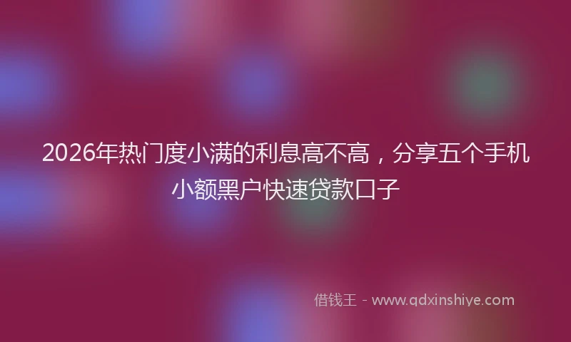 2026年热门度小满的利息高不高，分享五个手机小额黑户快速贷款口子