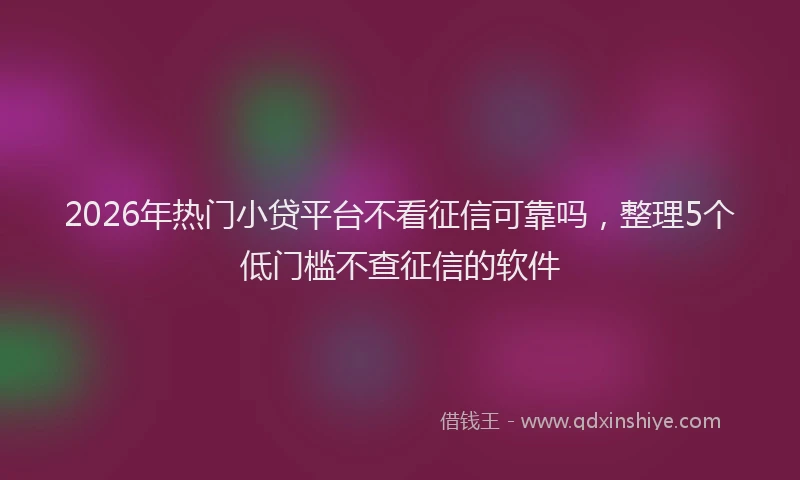 2026年热门小贷平台不看征信可靠吗，整理5个低门槛不查征信的软件