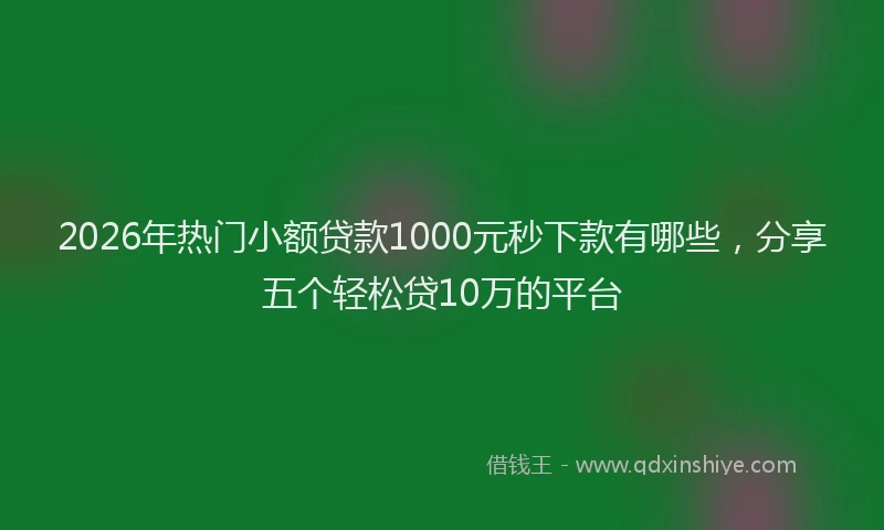 2026年热门小额贷款1000元秒下款有哪些，分享五个轻松贷10万的平台