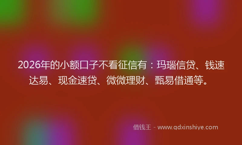 2026年的小额口子不看征信有：玛瑙信贷、钱速达易、现金速贷、微微理财、甄易借通等。
