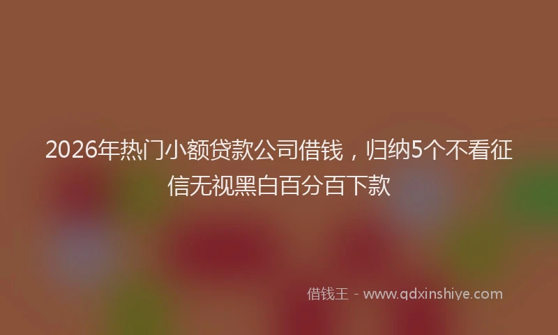 2026年热门小额贷款公司借钱，归纳5个不看征信无视黑白百分百下款