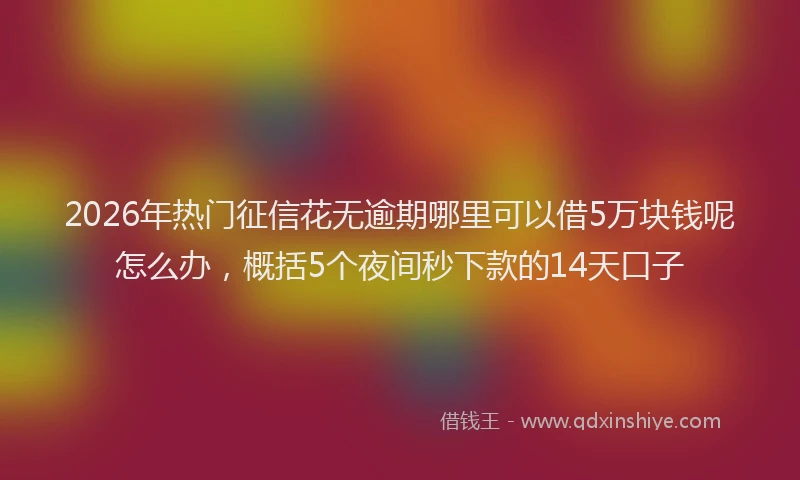 2026年热门征信花无逾期哪里可以借5万块钱呢怎么办，概括5个夜间秒下款的14天口子