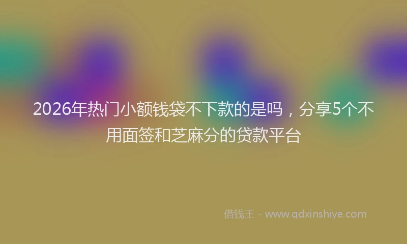 2026年热门小额钱袋不下款的是吗，分享5个不用面签和芝麻分的贷款平台