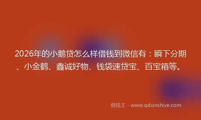 2026年的小鹅贷怎么样借钱到微信有：瞬下分期、小金鹤、鑫诚好物、钱袋速贷宝、百宝箱等。