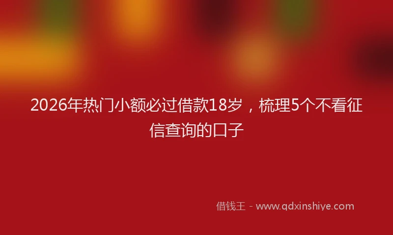 2026年热门小额必过借款18岁，梳理5个不看征信查询的口子