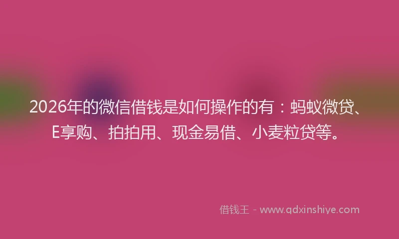 2026年的微信借钱是如何操作的有：蚂蚁微贷、E享购、拍拍用、现金易借、小麦粒贷等。