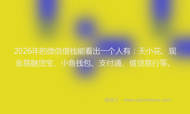 2026年的微信借钱能看出一个人有：天小花、现金易融贷宝、小鱼钱包、支付通、借贷易行等。