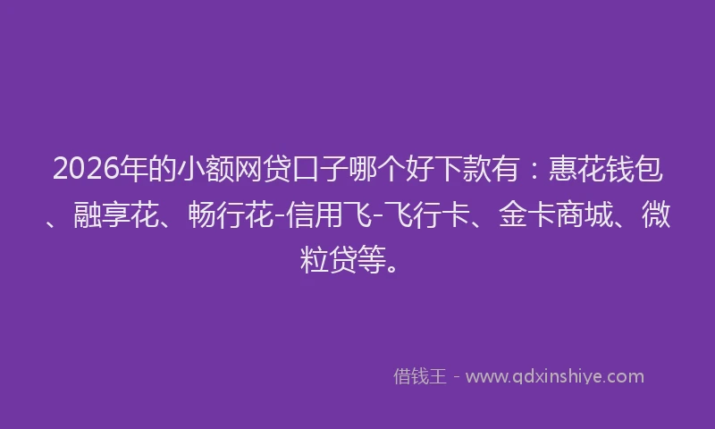 2026年的小额网贷口子哪个好下款有：惠花钱包、融享花、畅行花-信用飞-飞行卡、金卡商城、微粒贷等。