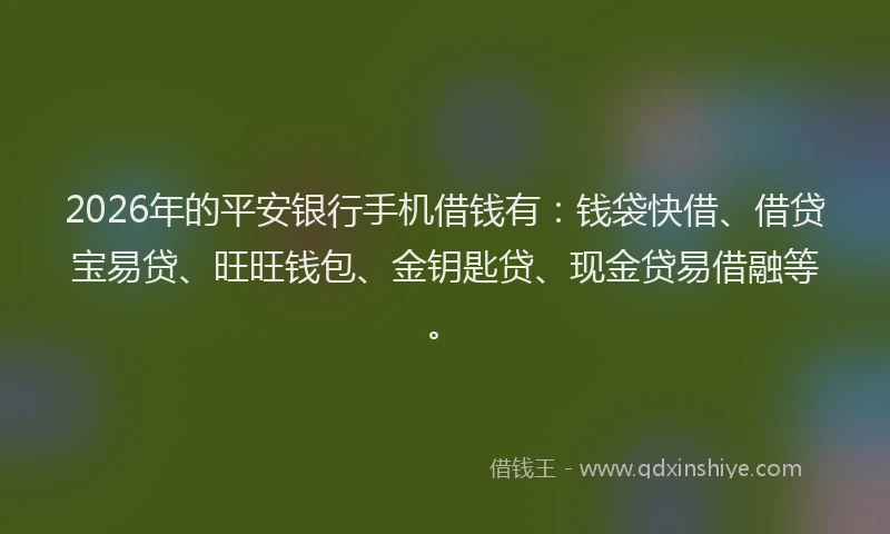 2026年的平安银行手机借钱有:钱袋快借、借贷宝易贷、旺旺钱包、金钥匙贷、现金贷易借融等。