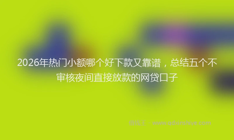 2026年热门小额哪个好下款又靠谱,总结五个不审核夜间直接放款的网贷口子