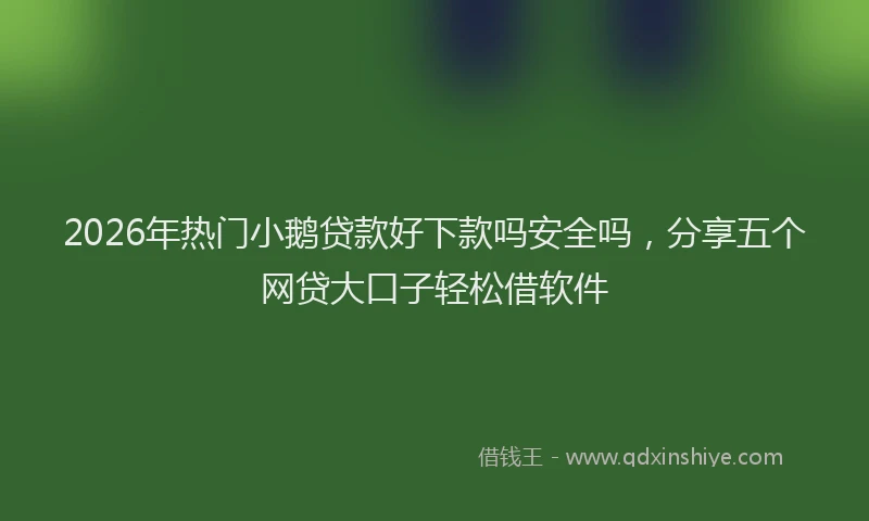 2026年热门小鹅贷款好下款吗安全吗，分享五个网贷大口子轻松借软件