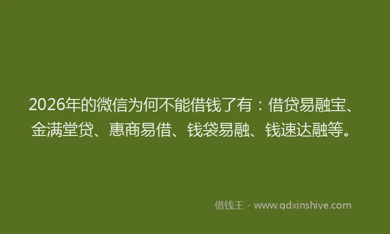 2026年的微信为何不能借钱了有：借贷易融宝、金满堂贷、惠商易借、钱袋易融、钱速达融等。