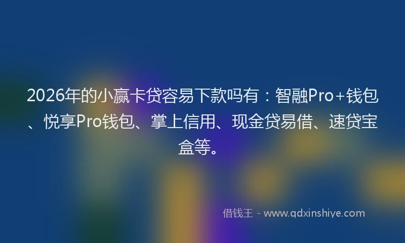 2026年的小赢卡贷容易下款吗有：智融Pro+钱包、悦享Pro钱包、掌上信用、现金贷易借、速贷宝盒等。