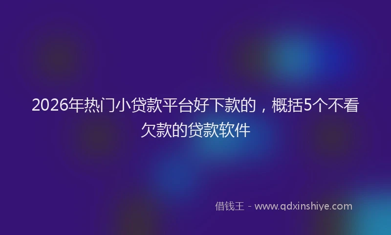 2026年热门小贷款平台好下款的，概括5个不看欠款的贷款软件