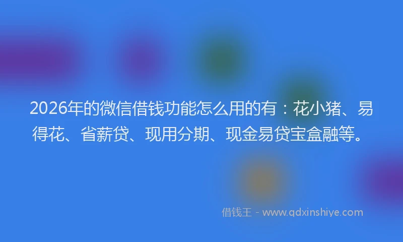 2026年的微信借钱功能怎么用的有：花小猪、易得花、省薪贷、现用分期、现金易贷宝盒融等。
