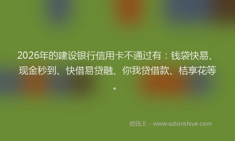 2026年的建设银行信用卡不通过有:钱袋快易、现金秒到、快借易贷融、你我贷借款、桔享花等。