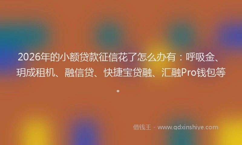 2026年的小额贷款征信花了怎么办有：呼吸金、玥成租机、融信贷、快捷宝贷融、汇融Pro钱包等。