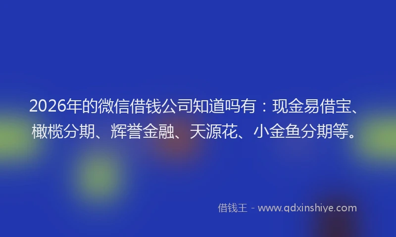 2026年的微信借钱公司知道吗有:现金易借宝、橄榄分期、辉誉金融、天源花、小金鱼分期等。