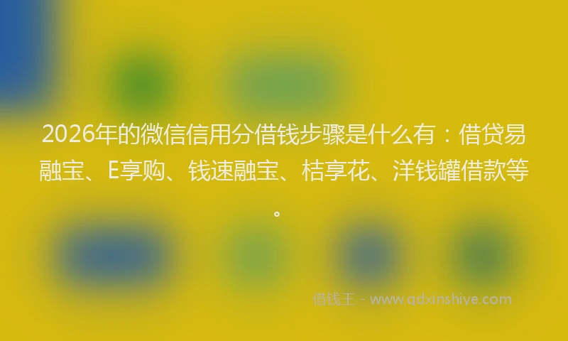 2026年的微信信用分借钱步骤是什么有：借贷易融宝、E享购、钱速融宝、桔享花、洋钱罐借款等。