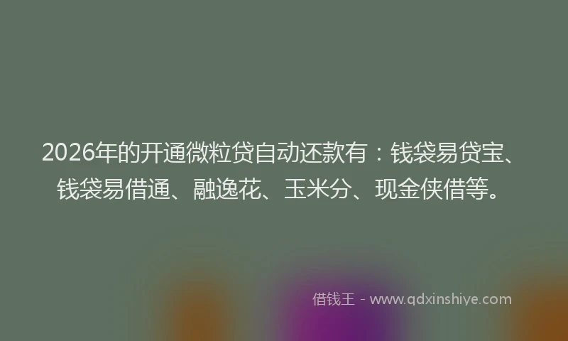 2026年的开通微粒贷自动还款有：钱袋易贷宝、钱袋易借通、融逸花、玉米分、现金侠借等。