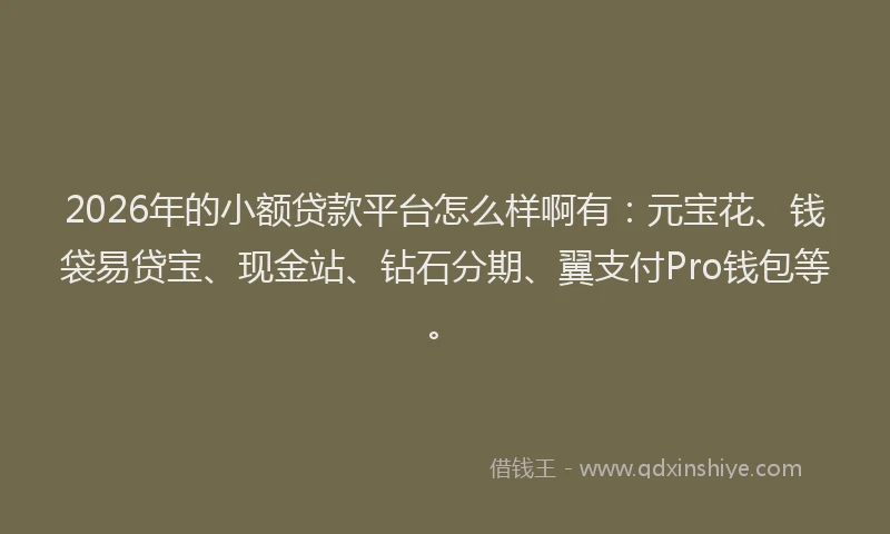 2026年的小额贷款平台怎么样啊有：元宝花、钱袋易贷宝、现金站、钻石分期、翼支付Pro钱包等。