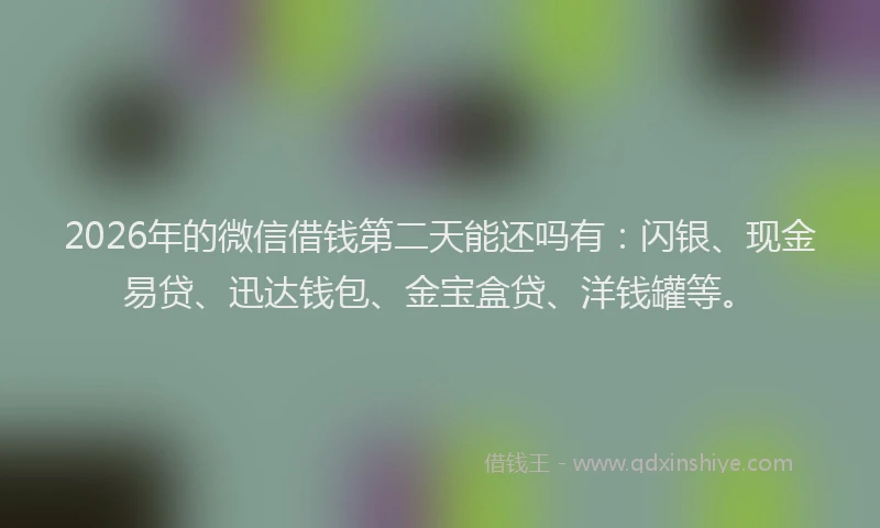 2026年的微信借钱第二天能还吗有：闪银、现金易贷、迅达钱包、金宝盒贷、洋钱罐等。