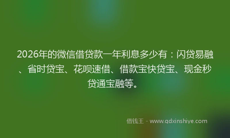 2026年的微信借贷款一年利息多少有：闪贷易融、省时贷宝、花呗速借、借款宝快贷宝、现金秒贷通宝融等。