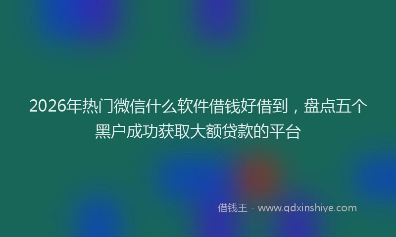 2026年热门微信什么软件借钱好借到，盘点五个黑户成功获取大额贷款的平台