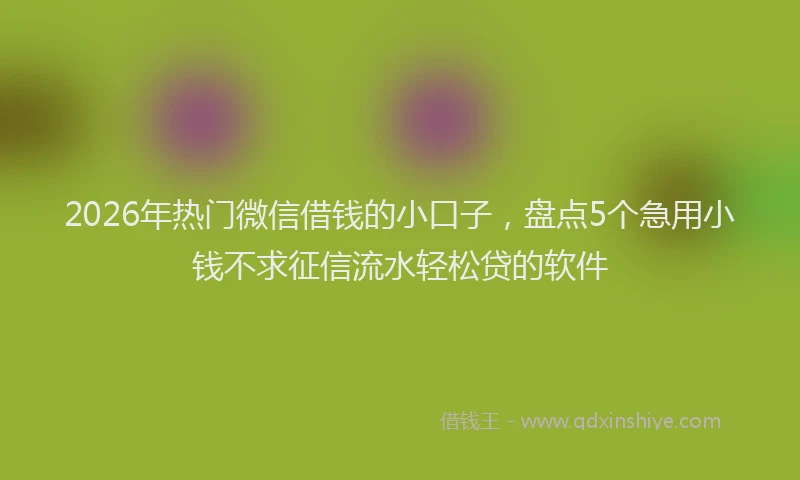 2026年热门微信借钱的小口子，盘点5个急用小钱不求征信流水轻松贷的软件