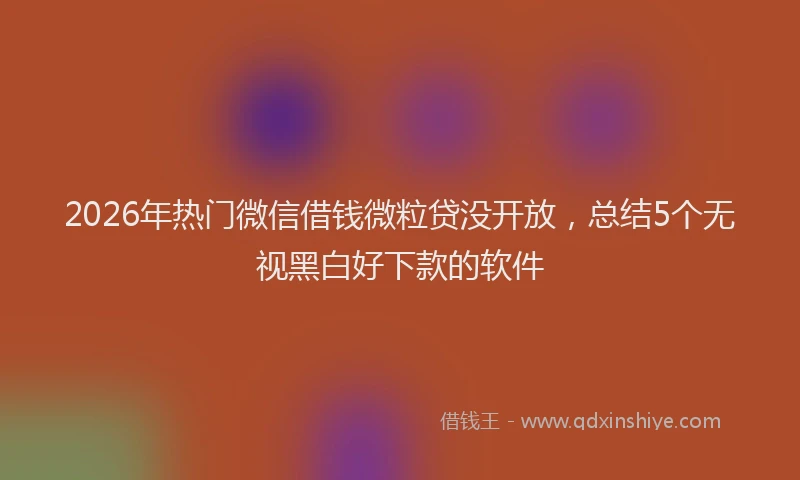 2026年热门微信借钱微粒贷没开放，总结5个无视黑白好下款的软件