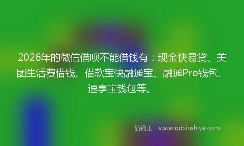 2026年的微信借呗不能借钱有：现金快易贷、美团生活费借钱、借款宝快融通宝、融通Pro钱包、速享宝钱包等。