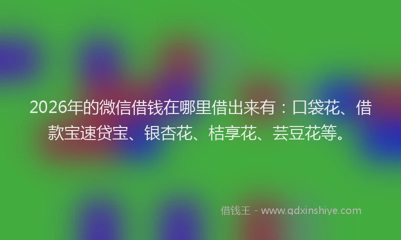 2026年的微信借钱在哪里借出来有：口袋花、借款宝速贷宝、银杏花、桔享花、芸豆花等。