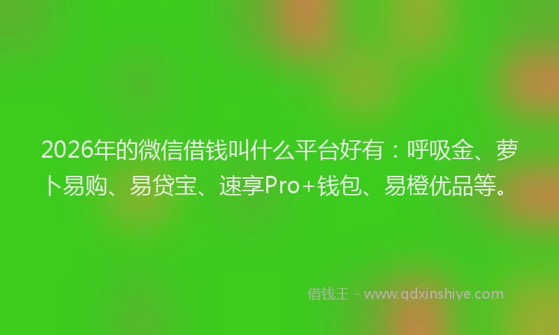 2026年的微信借钱叫什么平台好有：呼吸金、萝卜易购、易贷宝、速享Pro+钱包、易橙优品等。