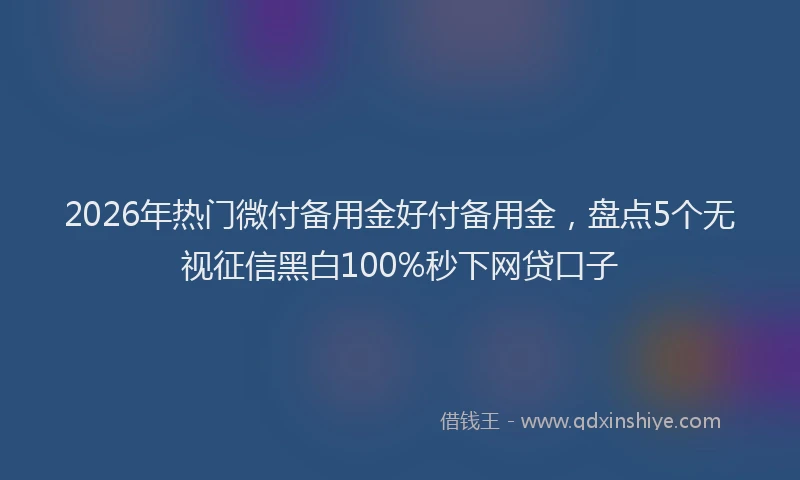 2026年热门微付备用金好付备用金，盘点5个无视征信黑白100%秒下网贷口子