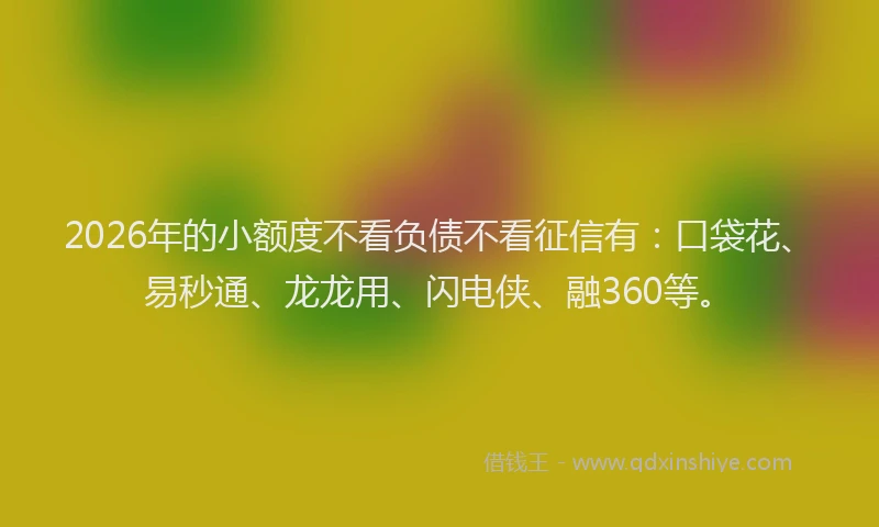 2026年的小额度不看负债不看征信有：口袋花、易秒通、龙龙用、闪电侠、融360等。