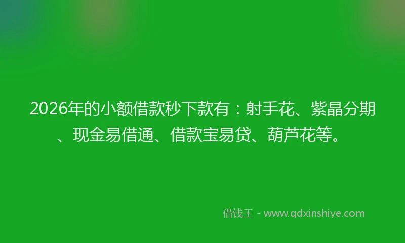2026年的小额借款秒下款有：射手花、紫晶分期、现金易借通、借款宝易贷、葫芦花等。