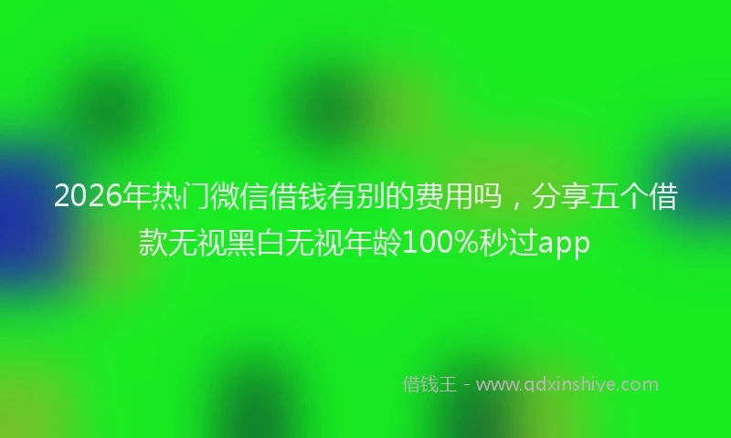 2026年热门微信借钱有别的费用吗，分享五个借款无视黑白无视年龄100%秒过app