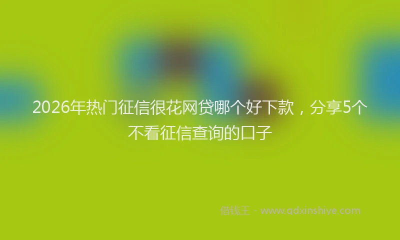 2026年热门征信很花网贷哪个好下款，分享5个不看征信查询的口子